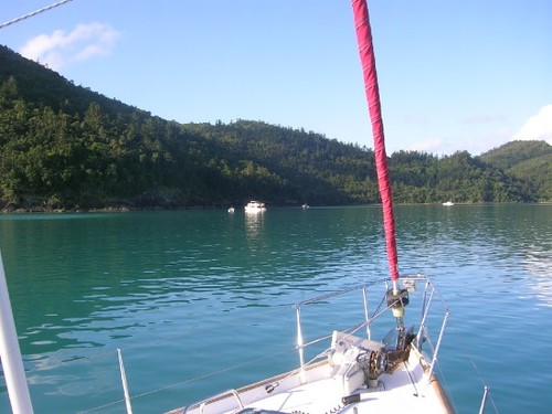 Cid Harbour where the baby whale was first spotted by fishermen ©  SW